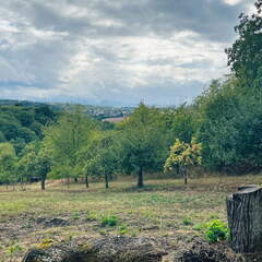 22-09-10 17-12-12 1950